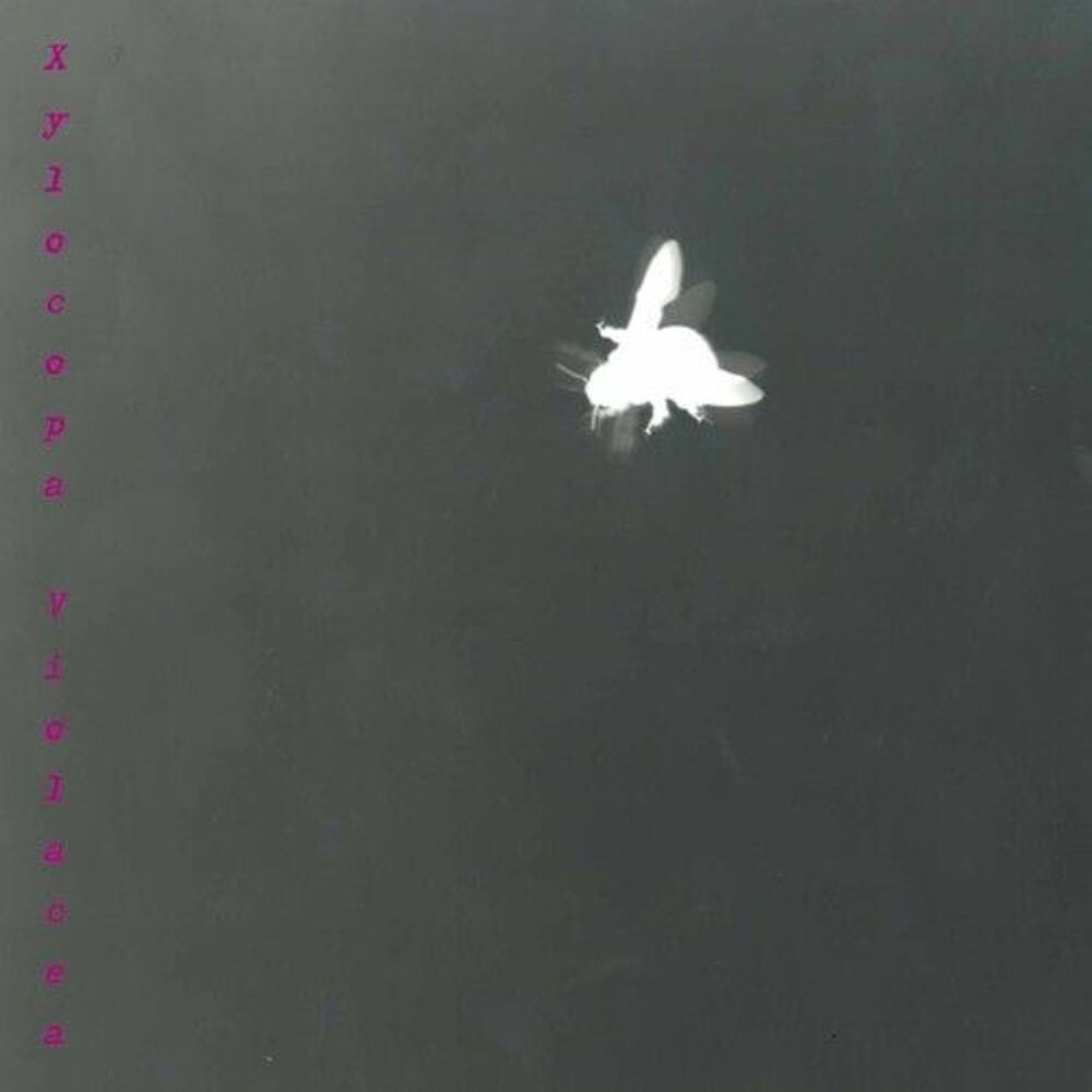 Barbara Maurer - Xylocopa Violacea  CD